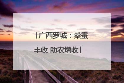 广西罗城：桑蚕丰收 助农增收