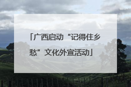 广西启动“记得住乡愁”文化外宣活动