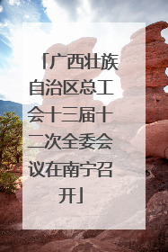 广西壮族自治区总工会十三届十二次全委会议在南宁召开