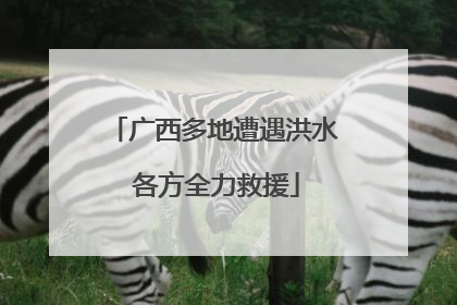 广西多地遭遇洪水 各方全力救援