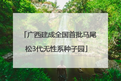 广西建成全国首批马尾松3代无性系种子园