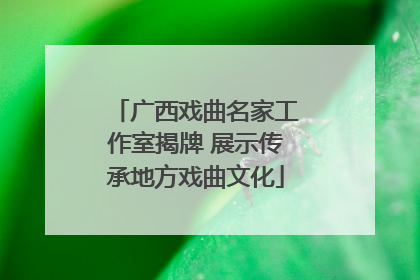广西戏曲名家工作室揭牌 展示传承地方戏曲文化