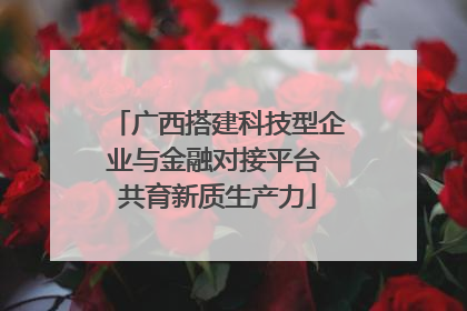 广西搭建科技型企业与金融对接平台 共育新质生产力