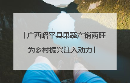 广西昭平县果蔬产销两旺 为乡村振兴注入动力