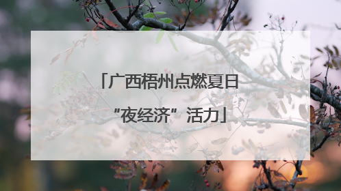广西梧州点燃夏日“夜经济”活力