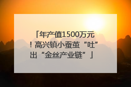 年产值1500万元！高兴镇小蚕茧“吐”出“金丝产业链”