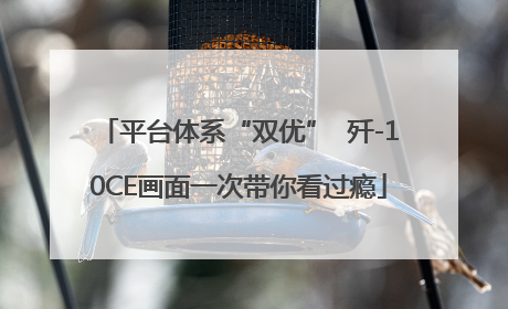 平台体系“双优”  歼-10CE画面一次带你看过瘾