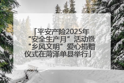 平安产险2025年“安全生产月”活动暨“乡风文明”爱心捐赠仪式在菏泽单县举行