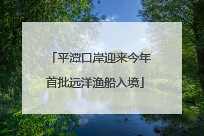 平潭口岸迎来今年首批远洋渔船入境