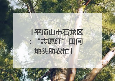 平顶山市石龙区：“志愿红”田间地头助农忙