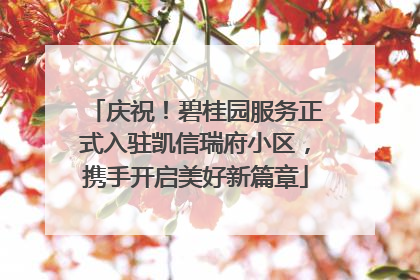 庆祝！碧桂园服务正式入驻凯信瑞府小区，携手开启美好新篇章