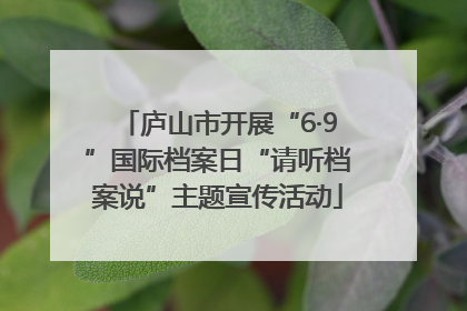 庐山市开展“6·9”国际档案日“请听档案说”主题宣传活动