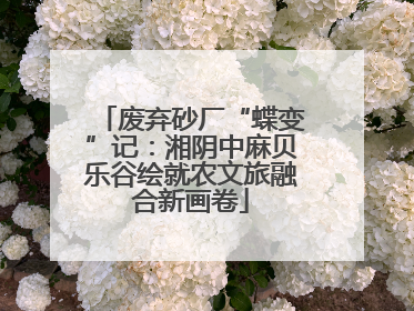 废弃砂厂“蝶变”记：湘阴中麻贝乐谷绘就农文旅融合新画卷