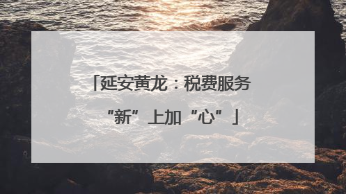 延安黄龙：税费服务“新”上加“心”