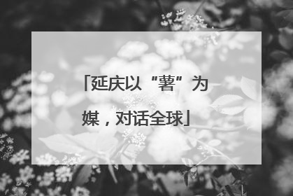 延庆以“薯”为媒，对话全球