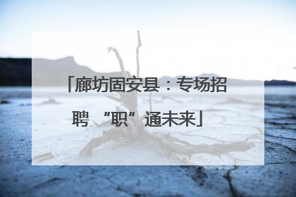 廊坊固安县：专场招聘 “职”通未来