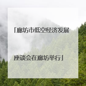 廊坊市低空经济发展座谈会在廊坊举行