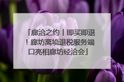 廊洽之约丨即买即退！廊坊离境退税服务端口亮相廊坊经洽会