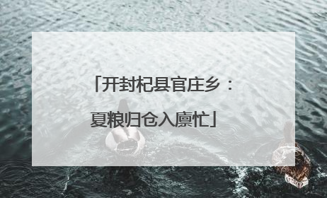开封杞县官庄乡：夏粮归仓入廪忙