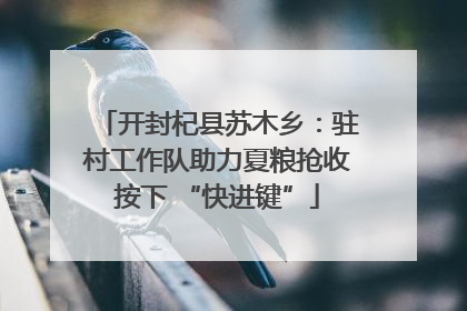 开封杞县苏木乡：驻村工作队助力夏粮抢收按下 “快进键”