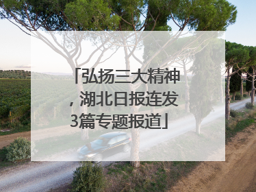 弘扬三大精神，湖北日报连发3篇专题报道