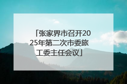 张家界市召开2025年第二次市委旅工委主任会议