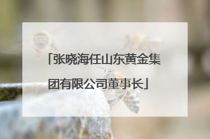 张晓海任山东黄金集团有限公司董事长