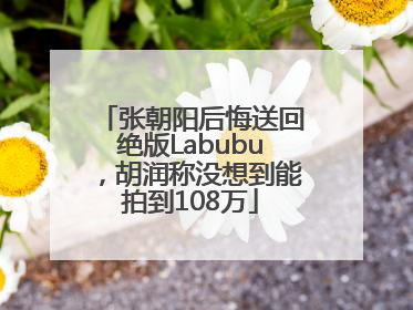 张朝阳后悔送回绝版Labubu，胡润称没想到能拍到108万