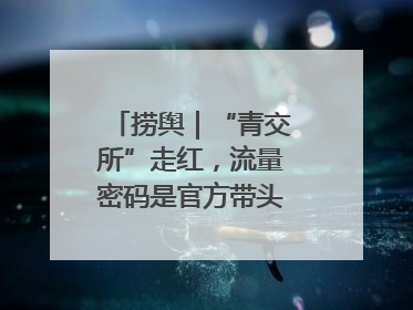 捞舆｜“青交所”走红，流量密码是官方带头“玩起来”