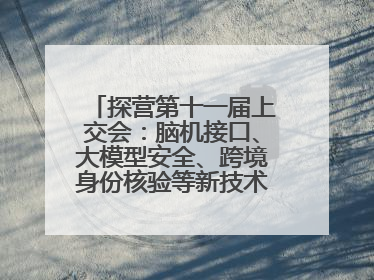 探营第十一届上交会：脑机接口、大模型安全、跨境身份核验等新技术将悉数亮相