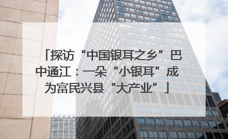 探访“中国银耳之乡”巴中通江：一朵“小银耳”成为富民兴县“大产业”