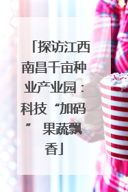 探访江西南昌千亩种业产业园：科技“加码” 果蔬飘香