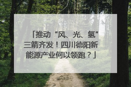 推动“风、光、氢”三箭齐发！四川德阳新能源产业何以领跑？