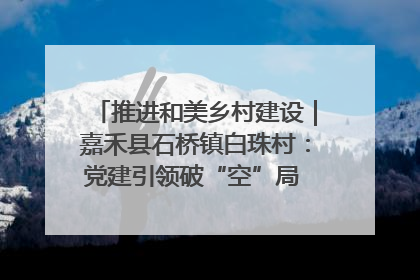 推进和美乡村建设｜嘉禾县石桥镇白珠村：党建引领破“空”局 乡贤聚力绘就新图景