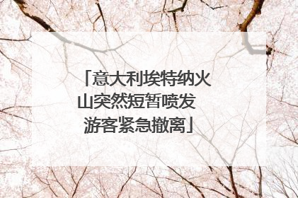 意大利埃特纳火山突然短暂喷发 游客紧急撤离