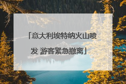 意大利埃特纳火山喷发 游客紧急撤离