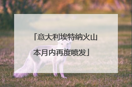 意大利埃特纳火山本月内再度喷发