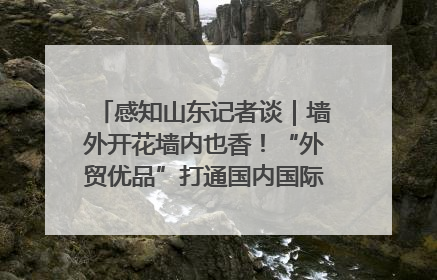感知山东记者谈｜墙外开花墙内也香！“外贸优品”打通国内国际市场“旋转门”