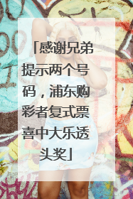 感谢兄弟提示两个号码，浦东购彩者复式票喜中大乐透头奖