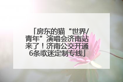 房东的猫“世界/青年”演唱会济南站来了！济南公交开通6条歌迷定制专线
