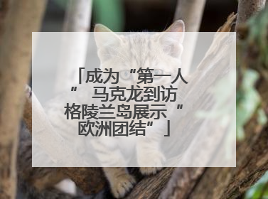 成为“第一人” 马克龙到访格陵兰岛展示“欧洲团结”