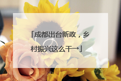 成都出台新政，乡村振兴这么干→