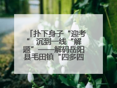 扑下身子“迎考” 沉到一线“解题”——解码岳阳县毛田镇“四多四好”工作法