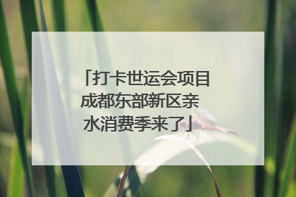 打卡世运会项目 成都东部新区亲水消费季来了