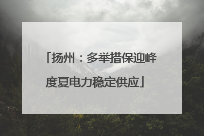 扬州：多举措保迎峰度夏电力稳定供应