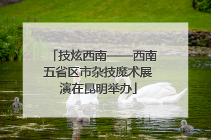 技炫西南——西南五省区市杂技魔术展演在昆明举办