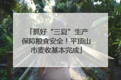 抓好“三夏”生产 保障粮食安全！平顶山市麦收基本完成