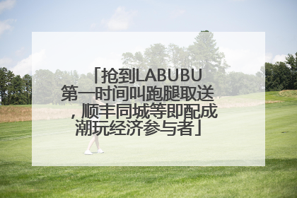抢到LABUBU第一时间叫跑腿取送，顺丰同城等即配成潮玩经济参与者