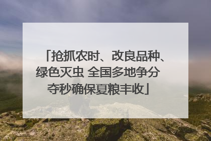 抢抓农时、改良品种、绿色灭虫 全国多地争分夺秒确保夏粮丰收