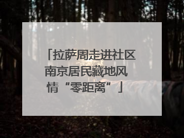 拉萨周走进社区 南京居民藏地风情“零距离”
